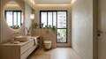 Toilet-2