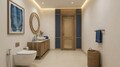 Toilet-1