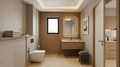 Toilet-1