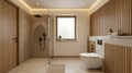 Toilet-2