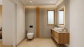 Master Toilet
