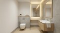 Toilet (common)