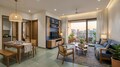 Living / Dining Room