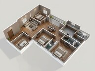 Urban Tree Excellence Virtual Tour