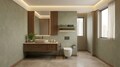 Toilet-2