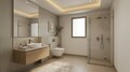 Toilet-1